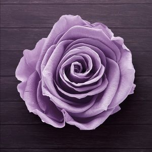 Meet your Posher, Rosalia